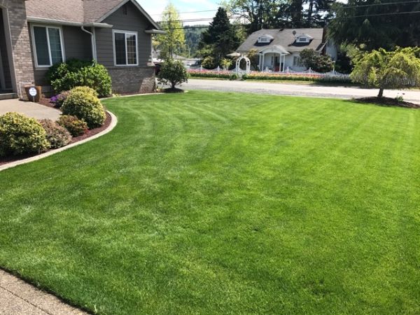 Hydroseeding In Puyallup